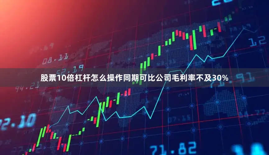 股票10倍杠杆怎么操作同期可比公司毛利率不及30%