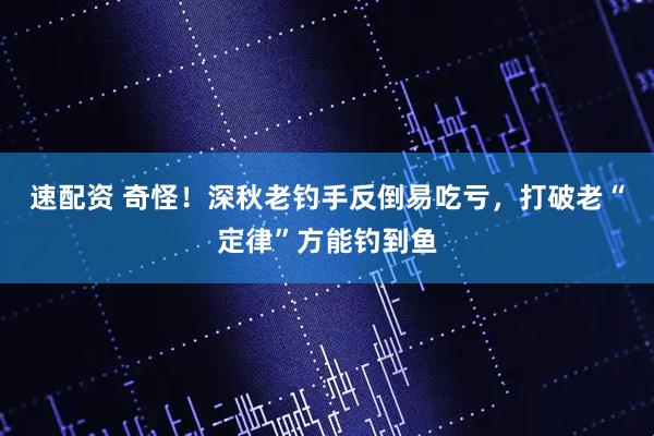 速配资 奇怪！深秋老钓手反倒易吃亏，打破老“定律”方能钓到鱼