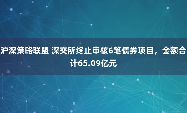 沪深策略联盟 深交所终止审核6笔债券项目，金额合计65.09亿元