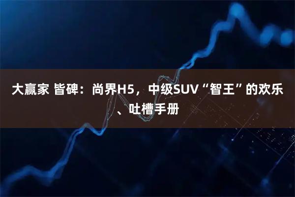 大赢家 皆碑：尚界H5，中级SUV“智王”的欢乐、吐槽手册