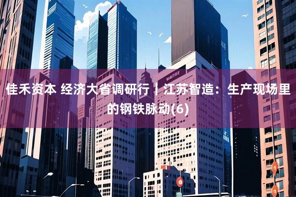 佳禾资本 经济大省调研行｜江苏智造：生产现场里的钢铁脉动(6)