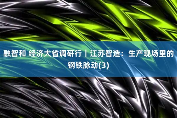 融智和 经济大省调研行｜江苏智造：生产现场里的钢铁脉动(3)